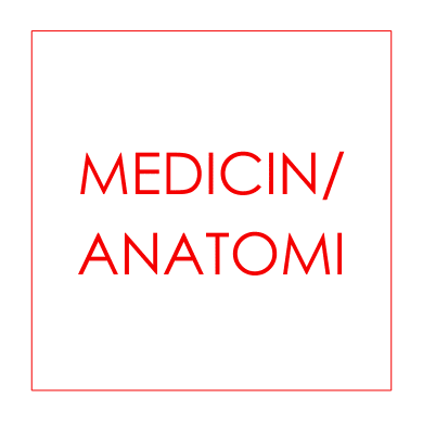 Medicin / Anatomi