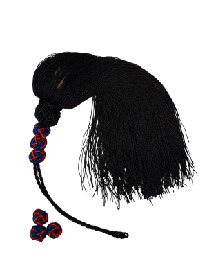 Zoom bild av Spegater trefärgade