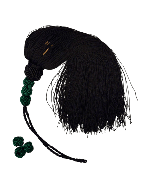 Zoom bild av Spegater enfärgade